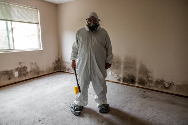 Best Mold Remediation for Healthcare Facilities  in Burkburnett, TX